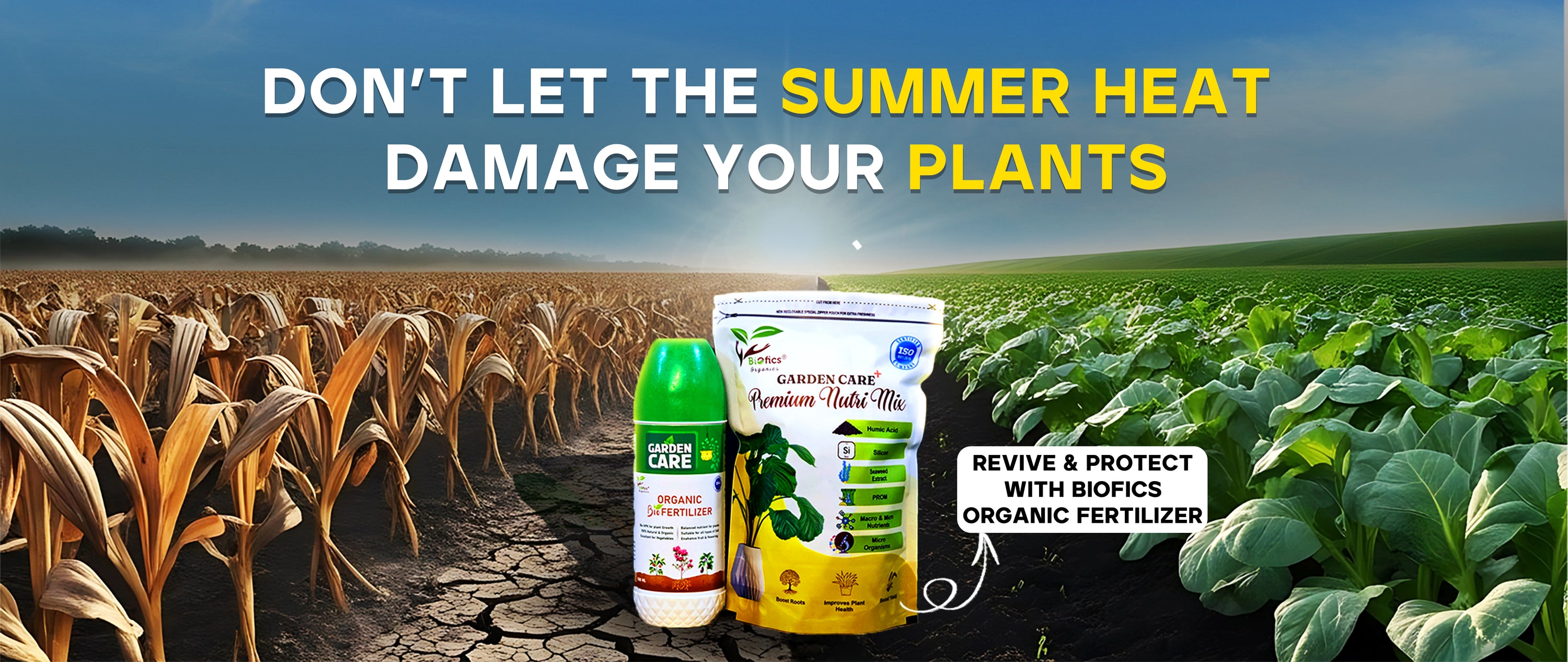 Best fertilizer for summer heat