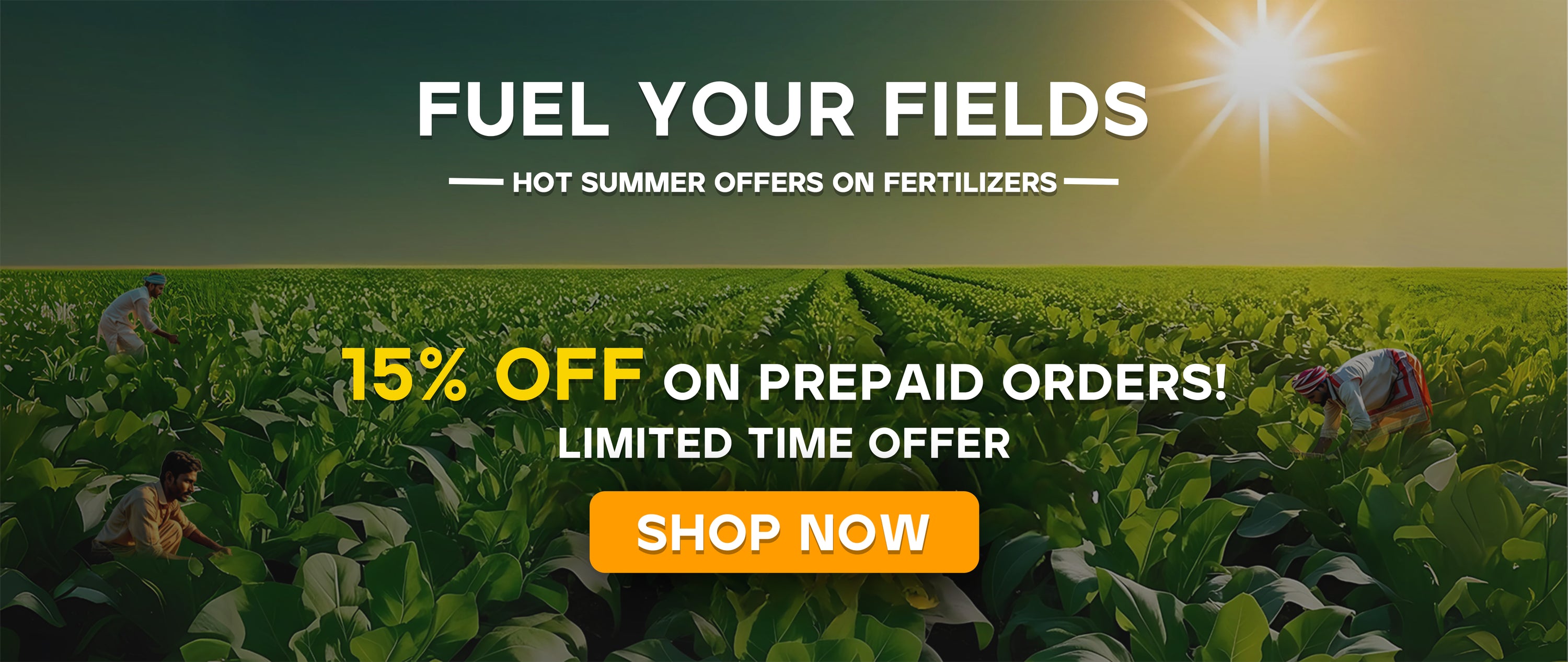 best fertilizer for plants