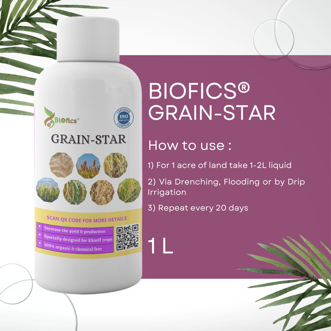 Biofics® Grain Star | Growth booster